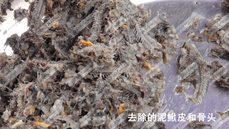 去除的泥鰍骨和泥鰍皮-采泥鰍肉-贛云機(jī)械