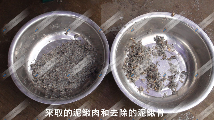 采泥鰍肉-泥鰍骨泥鰍皮對(duì)比圖-贛云機(jī)械